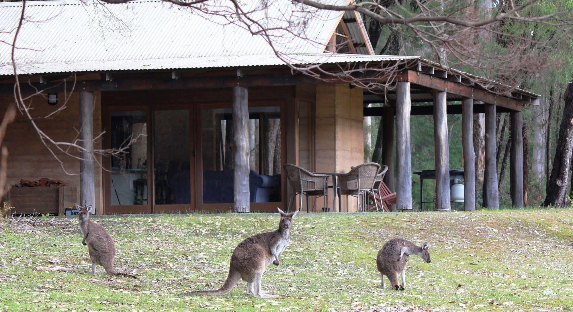 Marima Cottages Pemberton Dış mekan fotoğraf